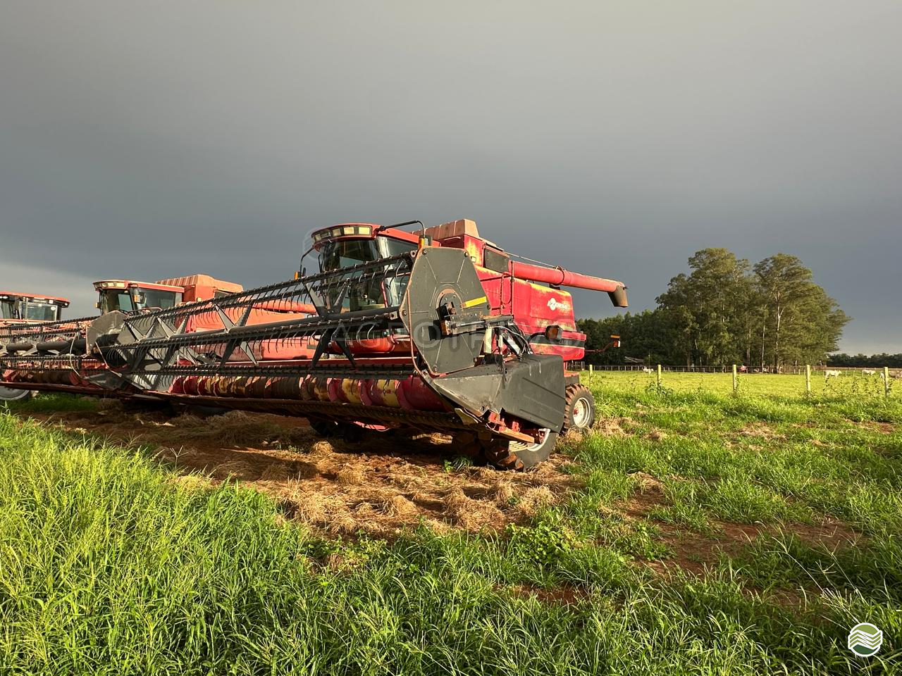 COLHEITADEIRA CASE CASE 2388 Agrotrevo Soluções Agropecuárias - Jacto CHAPADAO DO SUL MATO GROSSO DO SUL MS